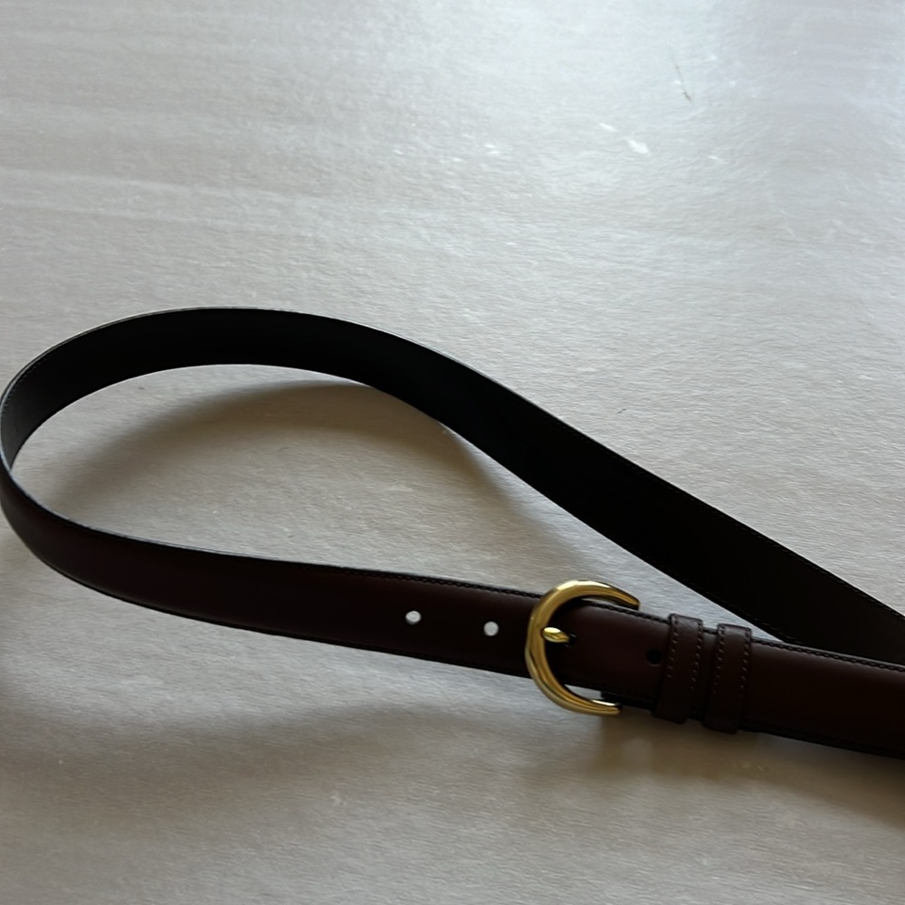 Coach belt
